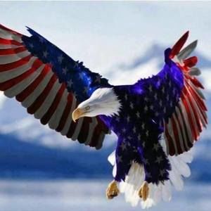 Meet your Posher, Javier